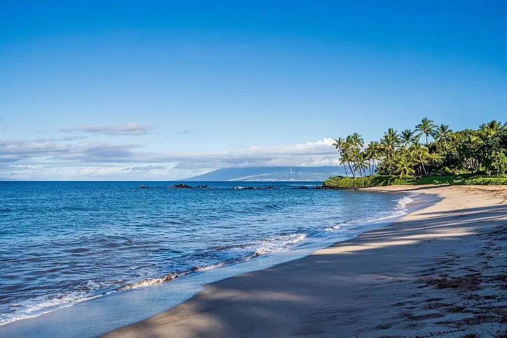 Aloha Moon - A Chic And Dreamy Modern Tropical Hideaway! Apartment Wailea   Wailea (Maui)