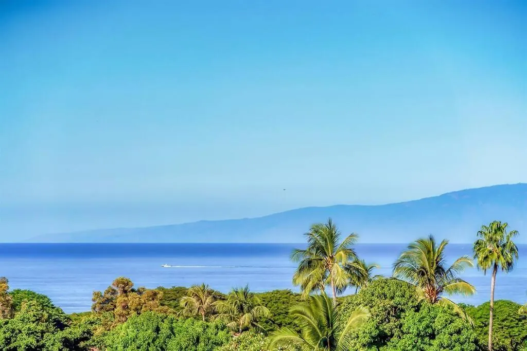 Aloha Moon - A Chic And Dreamy Modern Tropical Hideaway! Apartment Wailea  Wailea (Maui)