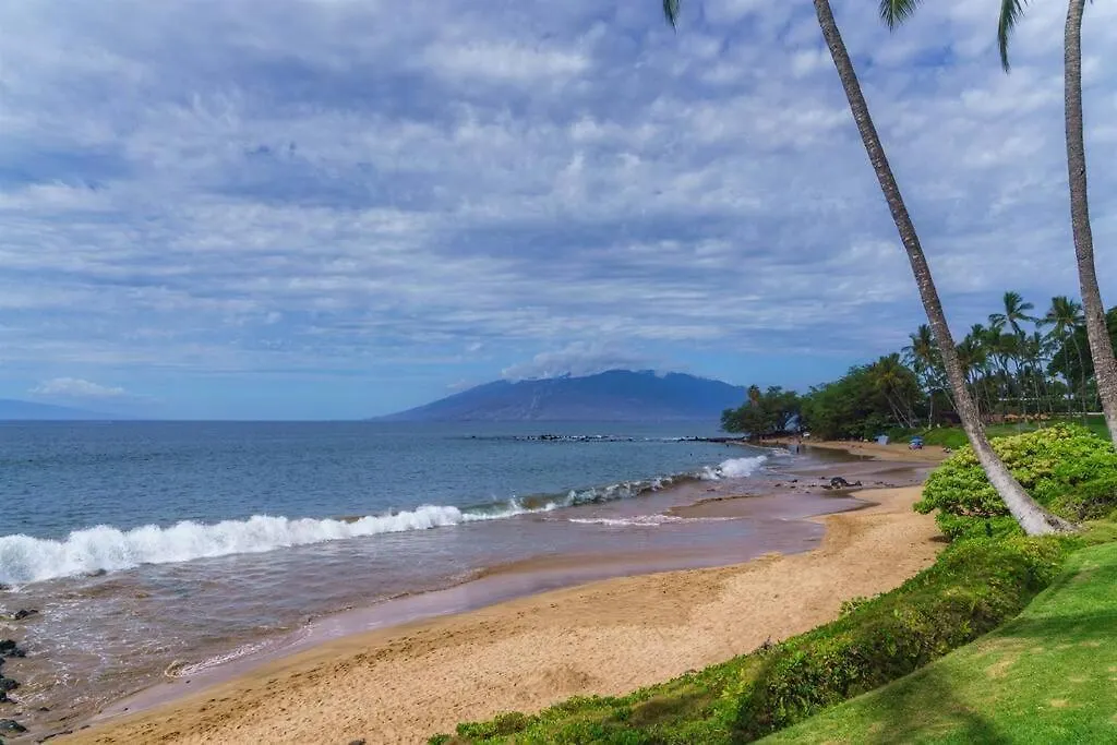 Aloha Moon - A Chic And Dreamy Modern Tropical Hideaway! Apartment Wailea