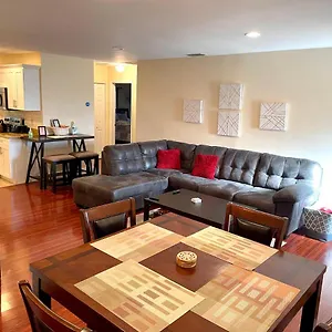 https://south-tampa-home-close-to-beaches-airport-downtown.hotelstampa.org